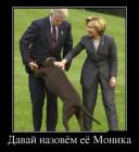 Прикрепленное изображение: 134.jpg