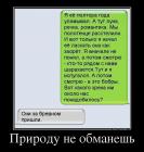Прикрепленное изображение: image.jpeg