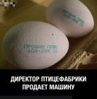 Прикрепленное изображение: 1611146789.jpg