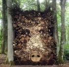 Прикрепленное изображение: 1609472567.jpg