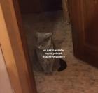 Прикрепленное изображение: Ну дайте хотя бы 50 рублей, будьте людьми, а.jpg