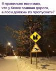 Прикрепленное изображение: 1641542963.jpg