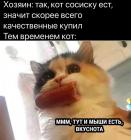 Прикрепленное изображение: Котик ест сосиску.jpg