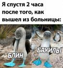 Прикрепленное изображение: Бахилы.jpg