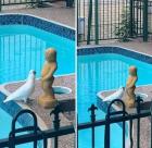 Прикрепленное изображение: Попугай и писающий мальчик.jpg