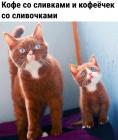 Прикрепленное изображение: Кофе со сливками.jpg