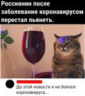 Прикрепленное изображение: Россиянин перестал пьянеть.jpg