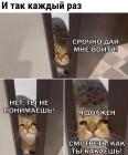 Прикрепленное изображение: Котик должен смотреть.jpg