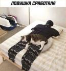 Прикрепленное изображение: 1674603298.jpg