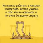 Прикрепленное изображение: Работа в женском коллективе.jpg