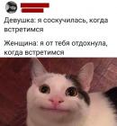 Прикрепленное изображение: Женщина от тебя отдохнула.jpg