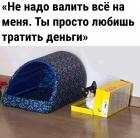 Прикрепленное изображение: Просто любишь тратить деньги.jpg