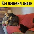 Прикрепленное изображение: 1704658871.jpg