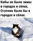 Прикрепленное изображение: Кабы не было зимы.jpg