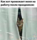 Прикрепленное изображение: Кот провожает на работу.jpg