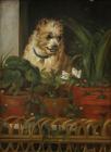Прикрепленное изображение: Charles_van_den_Eycken_-_Dog_on_the_lookout_at_a_window.jpg