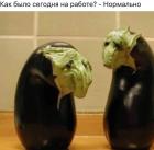 Прикрепленное изображение: На работе нормально.jpg