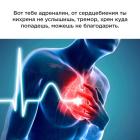 Прикрепленное изображение: 04.jpg