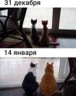 Прикрепленное изображение: 31 декабряч и 14 января.jpg
