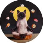 Прикрепленное изображение: 3j0J0dvOPPSx9ISmIC0e8QT.jpg