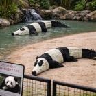 Прикрепленное изображение: 1769208271.jpg