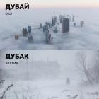 Прикрепленное изображение: Дубай и дубак.jpg