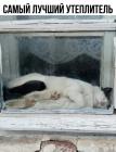 Прикрепленное изображение: Лучший утеплитель.jpg