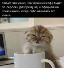 Прикрепленное изображение: Раздремуша.jpg