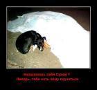 Прикрепленное изображение: __.jpg