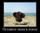Прикрепленное изображение: 892209_ostavte_menya_v_pokoe.jpg