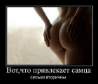 Прикрепленное изображение: image 245 (3).PNG