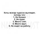 Прикрепленное изображение: image.jpeg