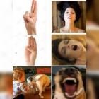 Прикрепленное изображение: image.jpeg