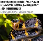 Прикрепленное изображение: aIJB4CpNqCQ.jpg