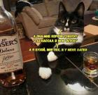 Прикрепленное изображение: P5Qdojymypw.jpg