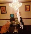 Прикрепленное изображение: 1580409364_13.jpg