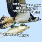 Прикрепленное изображение: 1582553402.jpg