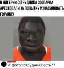 Прикрепленное изображение: GSLRp9s2l00.jpg