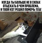 Прикрепленное изображение: 1612627240.jpg