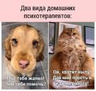 Прикрепленное изображение: 1612794809.jpg