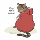 Прикрепленное изображение: Худи меня полнит.png