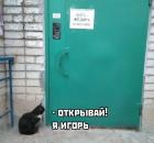 Прикрепленное изображение: Кота Федора не пускать.jpg