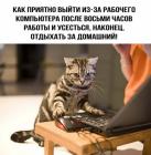 Прикрепленное изображение: 1643957134.jpg