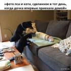 Прикрепленное изображение: 1644654113.jpg