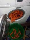 Прикрепленное изображение: Морковка в стиральной машине.jpg