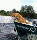 Прикрепленное изображение: 1677245900.jpg