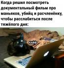 Прикрепленное изображение: Котик кайфует.jpg