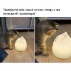 Прикрепленное изображение: Битва взглядов.jpg