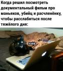 Прикрепленное изображение: Котик смотрит фильм.jpg