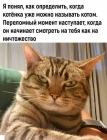 Прикрепленное изображение: Переломный момент.jpg